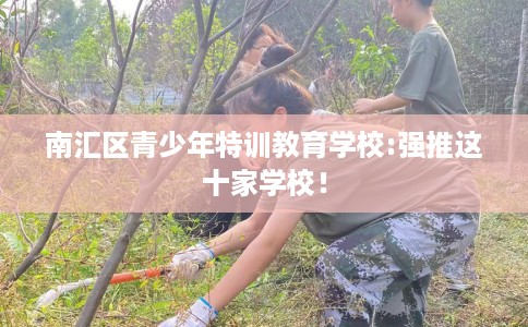 南汇区青少年特训教育学校:强推这十家学校！