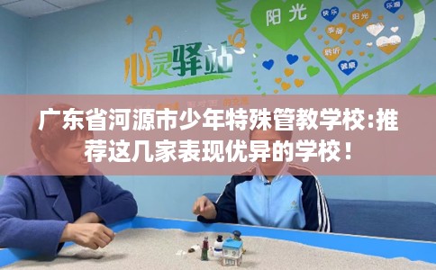 广东省河源市少年特殊管教学校:推荐这几家表现优异的学校！