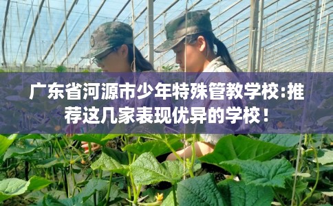 广东省河源市少年特殊管教学校:推荐这几家表现优异的学校！