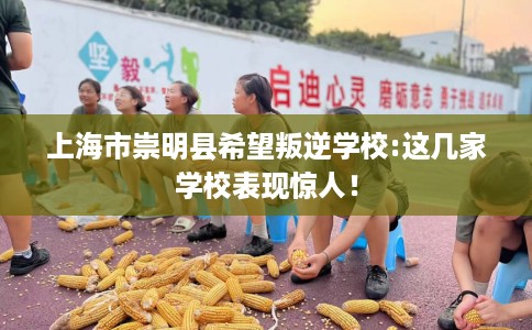 上海市崇明县希望叛逆学校:这几家学校表现惊人! 上海市崇明县希望叛逆学校:这几家学校表现惊人!