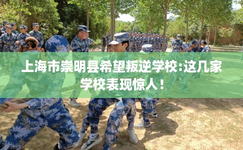 上海市崇明县希望叛逆学校:这几家学校表现惊人！