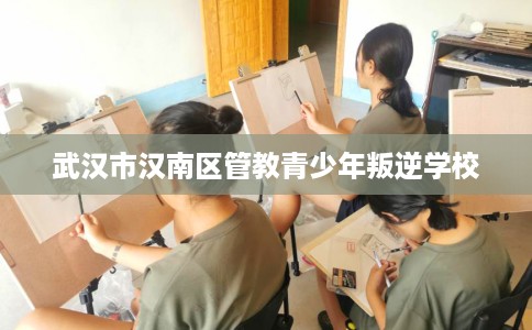 武汉市汉南区管教青少年叛逆学校