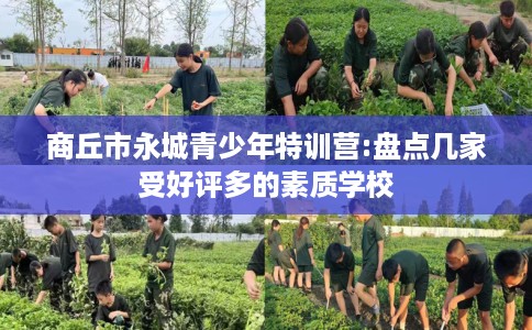 商丘市永城青少年特训营:盘点几家受好评多的素质学校