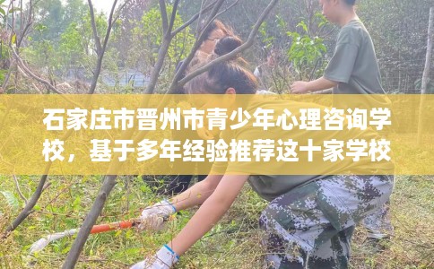 石家庄市晋州市青少年心理咨询学校,基于多年经验推荐这十家学校! 石家庄市晋州市青少年心理咨询学校,基于多年经验推荐这十家学校!