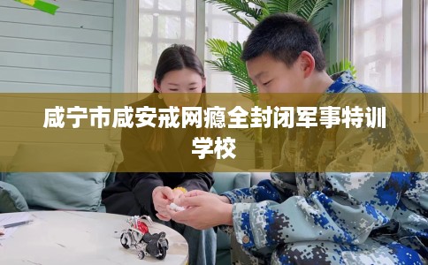 咸宁市咸安戒网瘾全封闭军事特训学校