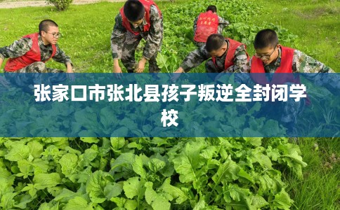 张家口市张北县孩子叛逆全封闭学校 张家口市张北县孩子叛逆全封闭学校