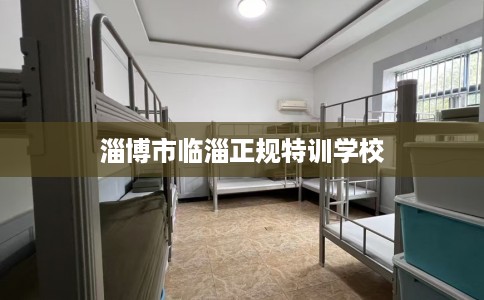 淄博市临淄正规特训学校 淄博市临淄正规特训学校