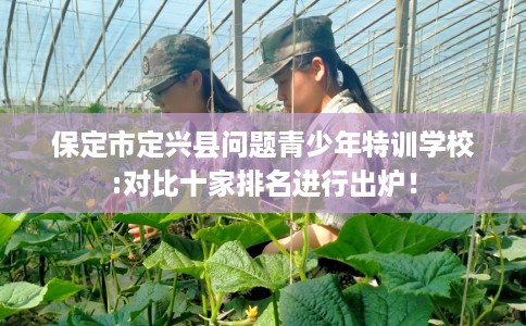 保定市定兴县问题青少年特训学校:对比十家排名进行出炉！