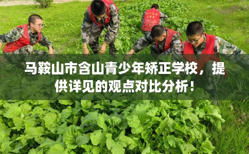 马鞍山市含山青少年矫正学校,提供详见的观点对比分析! 马鞍山市含山青少年矫正学校,提供详见的观点对比分析!