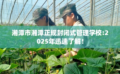 湘潭市湘潭正规封闭式管理学校:2025年迅速了解! 湘潭市湘潭正规封闭式管理学校:2025年迅速了解!
