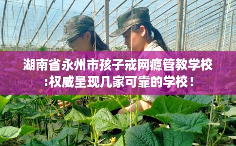 湖南省永州市孩子戒网瘾管教学校:权威呈现几家可靠的学校! 湖南省永州市孩子戒网瘾管教学校:权威呈现几家可靠的学校!