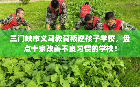 三门峡市义马教育叛逆孩子学校,盘点十家改善不良习惯的学校! 三门峡市义马教育叛逆孩子学校,盘点十家改善不良习惯的学校!