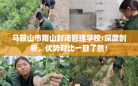 马鞍山市雨山封闭管理学校:深度剖析，优势对比一目了然！