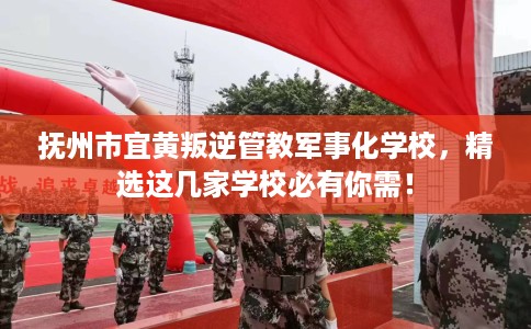 抚州市宜黄叛逆管教军事化学校，精选这几家学校必有你需！