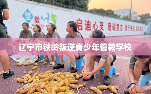 辽宁市铁岭叛逆青少年管教学校