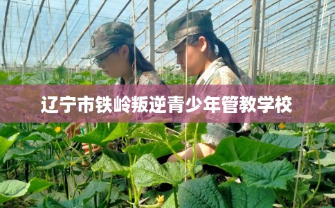 辽宁市铁岭叛逆青少年管教学校