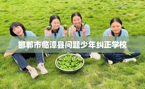 邯郸市临漳县问题少年纠正学校