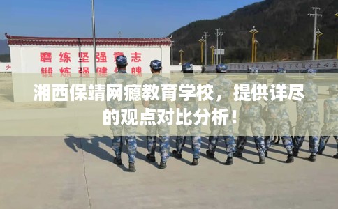 湘西保靖网瘾教育学校，提供详尽的观点对比分析！