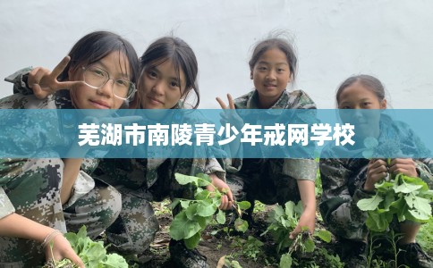 芜湖市南陵青少年戒网学校 芜湖市南陵青少年戒网学校