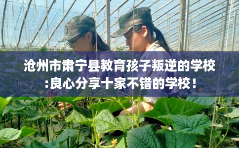 沧州市肃宁县教育孩子叛逆的学校:良心分享十家不错的学校！