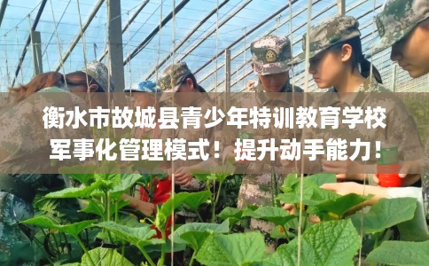 衡水市故城县青少年特训教育学校军事化管理模式！提升动手能力！