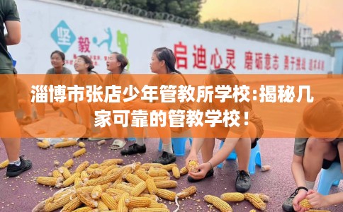 淄博市张店少年管教所学校:揭秘几家可靠的管教学校! 淄博市张店少年管教所学校:揭秘几家可靠的管教学校!