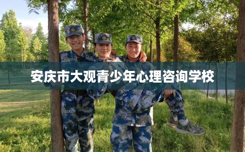 安庆市大观青少年心理咨询学校
