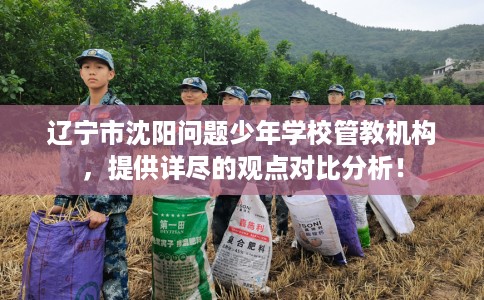 辽宁市沈阳问题少年学校管教机构，提供详尽的观点对比分析！