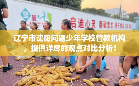 辽宁市沈阳问题少年学校管教机构，提供详尽的观点对比分析！