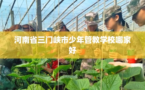 河南省三门峡市少年管教学校哪家好