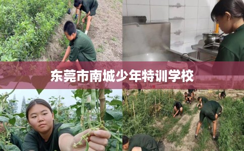东莞市南城少年特训学校
