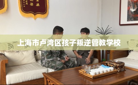上海市卢湾区孩子叛逆管教学校 上海市卢湾区孩子叛逆管教学校