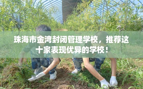 珠海市金湾封闭管理学校，推荐这十家表现优异的学校！
