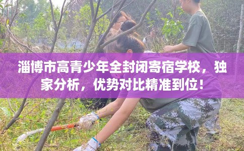 淄博市高青少年全封闭寄宿学校,独家分析,优势对比精准到位! 淄博市高青少年全封闭寄宿学校,独家分析,优势对比精准到位!