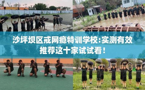 沙坪坝区戒网瘾特训学校:实测有效推荐这十家试试看！