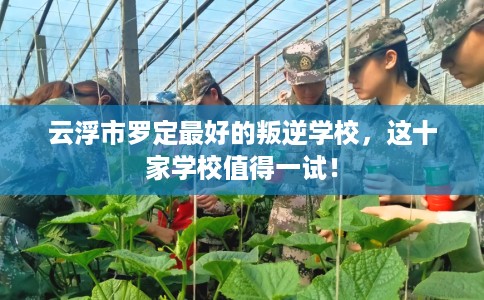 云浮市罗定最好的叛逆学校,这十家学校值得一试! 云浮市罗定最好的叛逆学校,这十家学校值得一试!