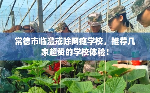 常德市临澧戒除网瘾学校,推荐几家超赞的学校体验! 常德市临澧戒除网瘾学校,推荐几家超赞的学校体验!