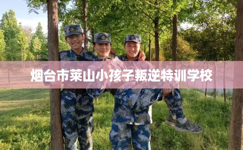 烟台市莱山小孩子叛逆特训学校 烟台市莱山小孩子叛逆特训学校