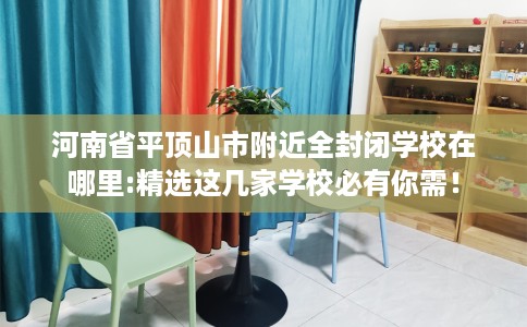 河南省平顶山市附近全封闭学校在哪里:精选这几家学校必有你需！