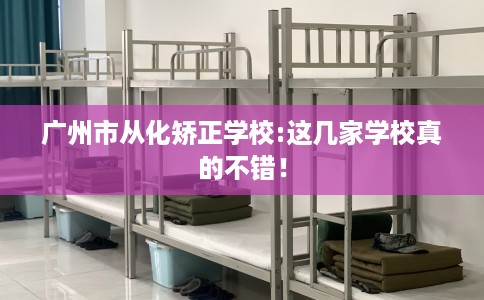 广州市从化矫正学校:这几家学校真的不错！