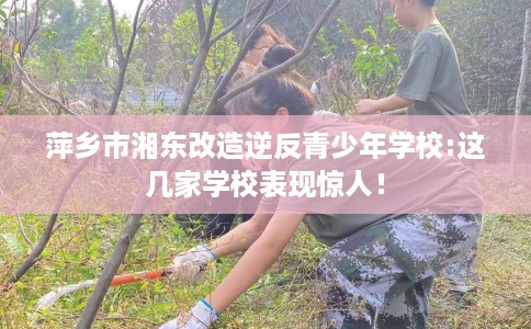 萍乡市湘东改造逆反青少年学校:这几家学校表现惊人! 萍乡市湘东改造逆反青少年学校:这几家学校表现惊人!