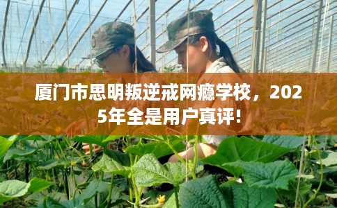 厦门市思明叛逆戒网瘾学校，2025年全是用户真评!