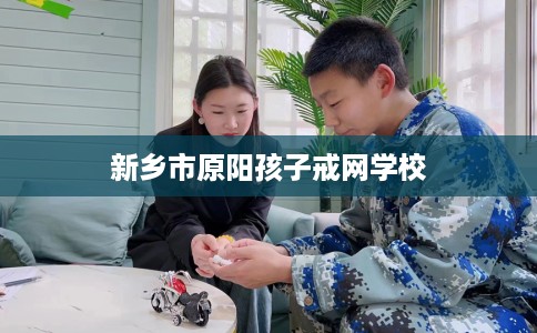新乡市原阳孩子戒网学校