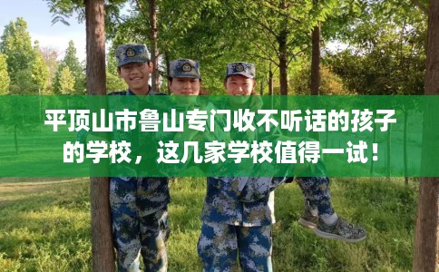 平顶山市鲁山专门收不听话的孩子的学校,这几家学校值得一试! 平顶山市鲁山专门收不听话的孩子的学校,这几家学校值得一试!