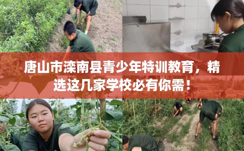唐山市滦南县青少年特训教育，精选这几家学校必有你需！