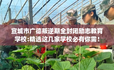 宣城市广德叛逆期全封闭励志教育学校:精选这几家学校必有你需！