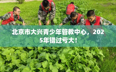 北京市大兴青少年管教中心,2025年错过亏大! 北京市大兴青少年管教中心,2025年错过亏大!