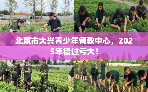北京市大兴青少年管教中心,2025年错过亏大! 北京市大兴青少年管教中心,2025年错过亏大!