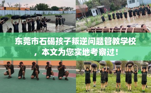 东莞市石碣孩子叛逆问题管教学校，本文为您实地考察过！