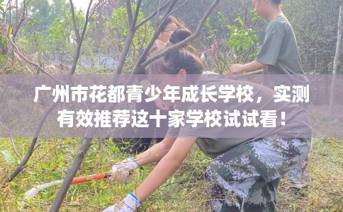 广州市花都青少年成长学校,实测有效推荐这十家学校试试看! 广州市花都青少年成长学校,实测有效推荐这十家学校试试看!